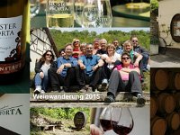 2015 Wein 291